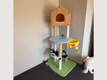 Image 1 of 7