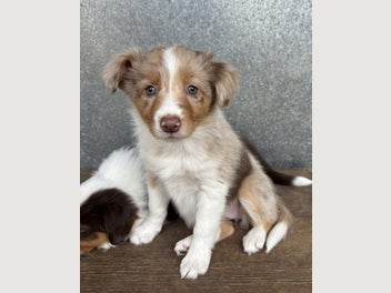 Image 1 of 15