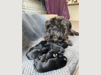 Image 1 of 8