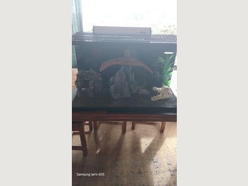 Image 1 of 7
