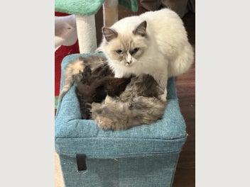 Image 1 of 6