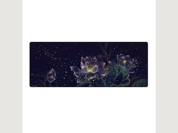 Image 1 of 12