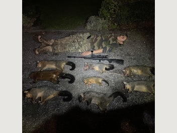 Image 1 of 13