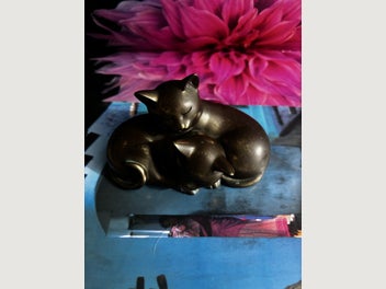 Image 1 of 16