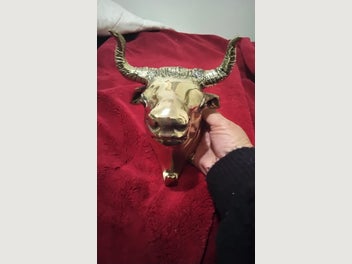 Image 1 of 8
