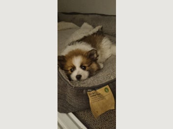 Image 1 of 8