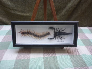 Image 1 of 5