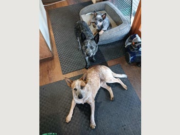 Image 1 of 15