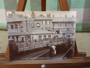 Image 1 of 8