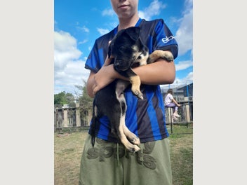 Image 1 of 5