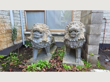 Image 1 of 5