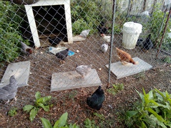 Image 1 of 6