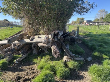 Image 1 of 5