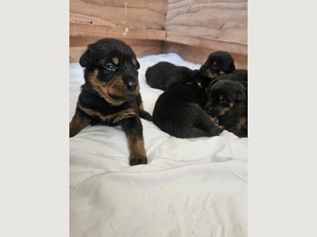Image 1 of 14