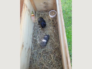 Image 1 of 4