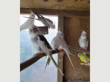 Image 1 of 11