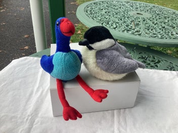 Image 1 of 3