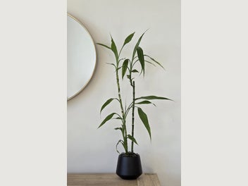 Image 1 of 9