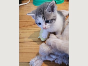 Image 1 of 12