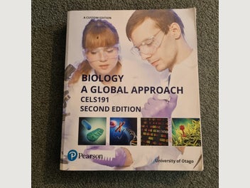 Image 1 of 14
