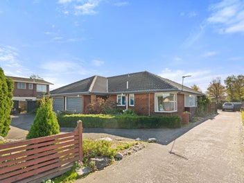 Image 1 of 19