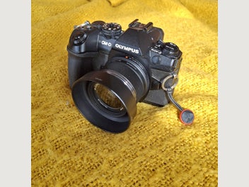 Image 1 of 7