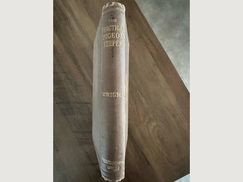Image 1 of 7