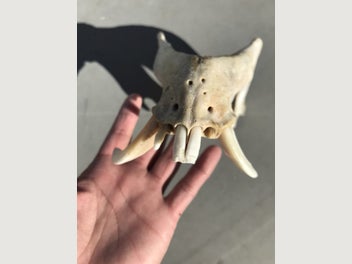 Image 1 of 20
