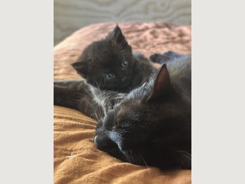 Image 1 of 7