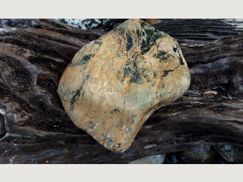 Image 1 of 12