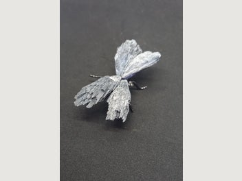 Image 1 of 7