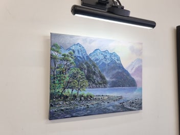 Image 1 of 9