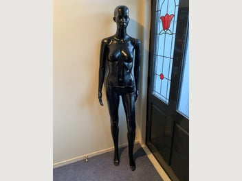 Image 1 of 5