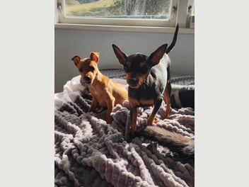 Image 1 of 19