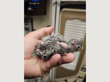 Image 1 of 3