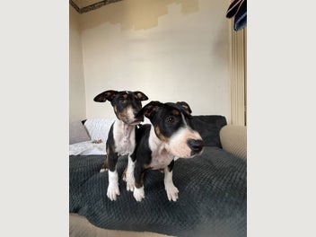 Image 1 of 18