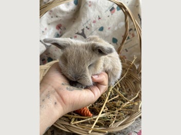 Image 1 of 8