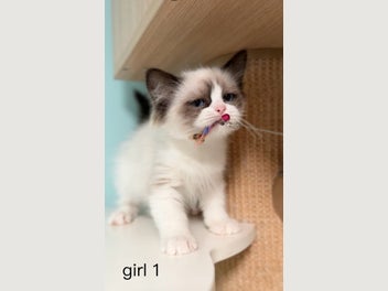 Image 1 of 18