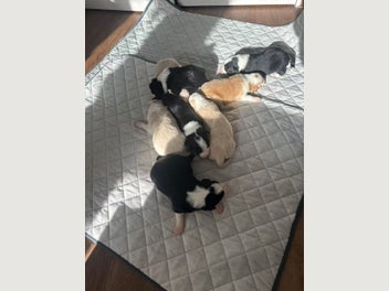 Image 1 of 20