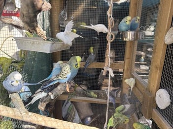 Image 1 of 13