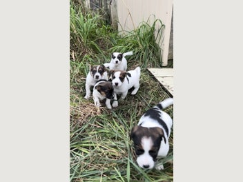 Image 1 of 19