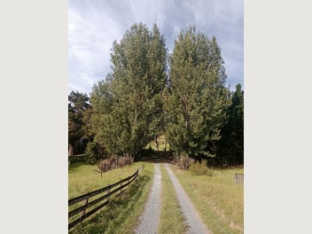 Image 1 of 7