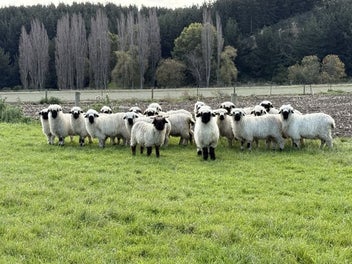Image 1 of 3