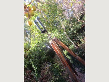 Image 1 of 14