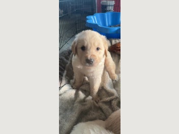 Image 1 of 17