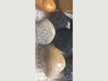 Image 1 of 11