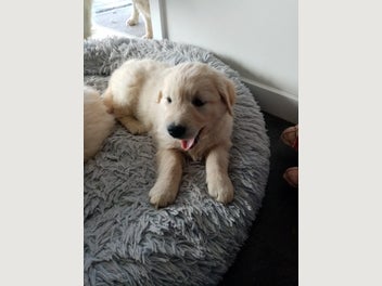 Image 1 of 10