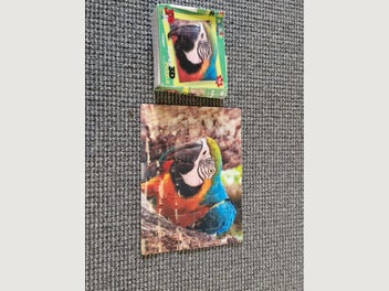 Image 1 of 2