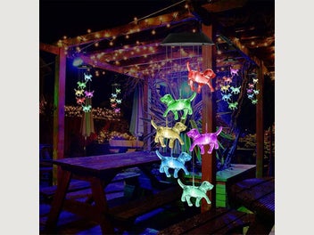 Image 1 of 7