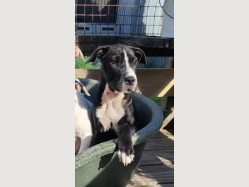 Image 1 of 15